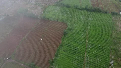Aerial view of agricultural fields showcasing a patchwork of brown Stock-Footage 280096151