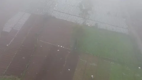 Aerial view of agricultural fields showcasing a patchwork of green crops Stock Footage 280096166