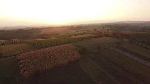 Aerial view of agricultural fields in sunset. Stock Footage 59390633