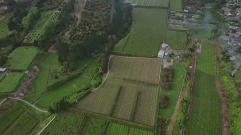 Aerial View of Agricultural Fields in Te Puke. Descending Shot Stock Footage 300752861
