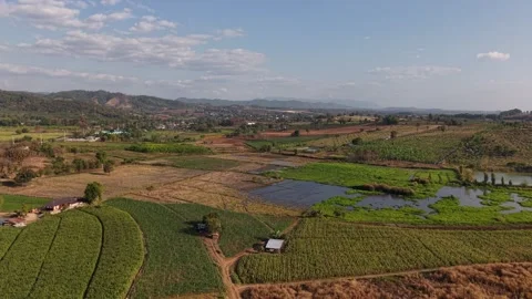 Aerial View of Agricultural Fields, Trees and Mountain Horizon Landscape Stock Footage 328277094