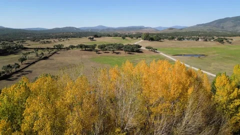 Aerial view of agricultural fields under blue sky Stock Footage 260402354