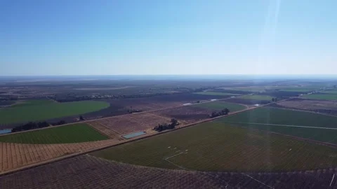 Aerial view of agricultural fields under a clear blue sky on a bright sunny day Stock Footage 308954340