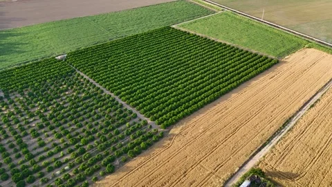 Aerial view of agricultural patchwork fields Stock-Footage 335861607
