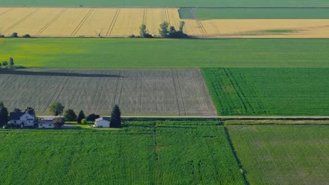 Aerial view of agricultural patchwork fields in Michigan countryside. Видео 340952861