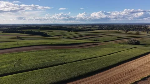 Aerial view of agricultural patchwork landscape in summer Stock Footage 347526300