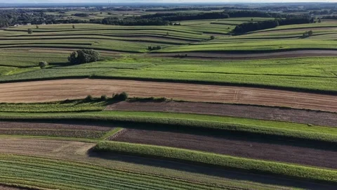 Aerial view of agricultural patchwork landscape in summer Video stock 347707537