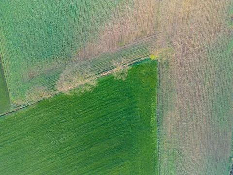 Aerial View of Agricultural Patchwork 스톡 사진