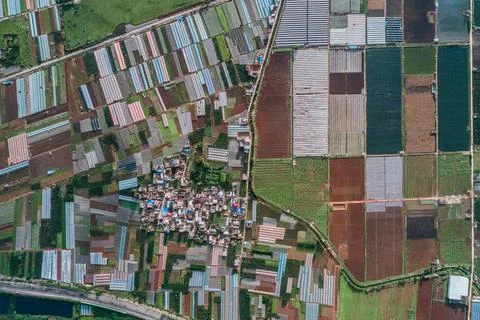 Aerial view of agricultural plots of land under cultivation in an agricultura Stock Photos