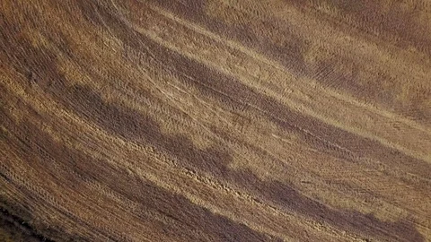 Aerial view of agricultural process of grain harvesting Video stock 95333489