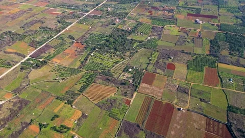 Aerial view of agriculture fields Stock Footage 266829157