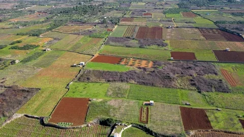 Aerial view of agriculture fields Stock Footage 266829276