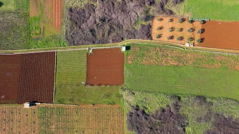 Aerial view of agriculture fields Stock Footage 266829338