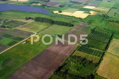 Aerial view of agriculture green fields Stock Illustration