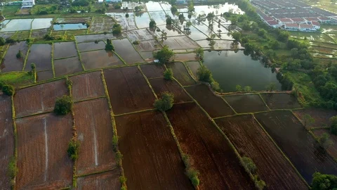 Aerial view of agriculture in rice fields to prepare planting. Stock-Footage 102171190