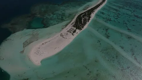 Aerial view of Alacranes Reef and beaches, Mexico. Stock Footage 284848962
