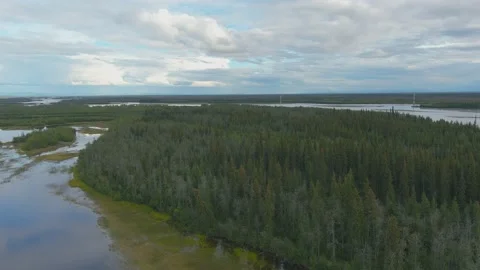 Aerial View of Alaska Forest Video stock 208799071
