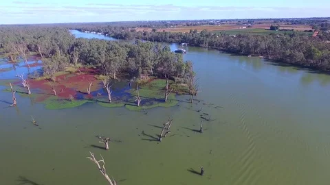 Aerial view of algae lagoon house boat holiday Murray River Australia Stock Footage 71113879