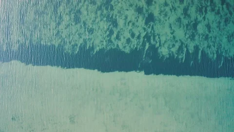 An aerial view of algae in a pond. 스톡 동영상 147407834