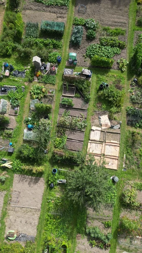 Aerial view of an allotment Stock Footage 249941445