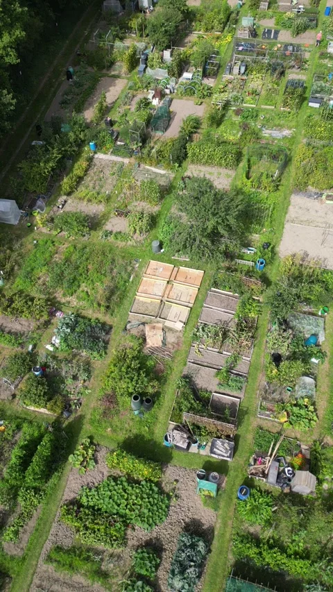Aerial view of an allotment Stockbeeldmateriaal 249941515