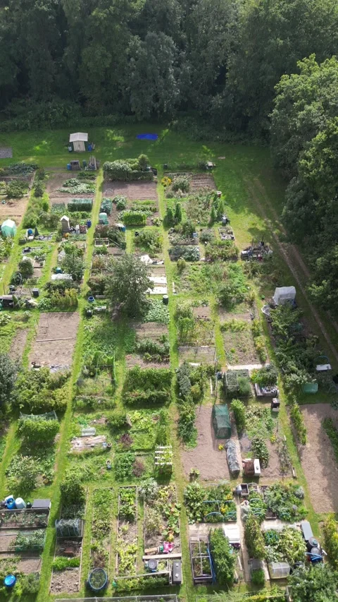 Aerial view of an allotment Stock Footage 249941640