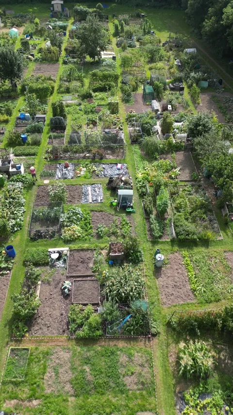 Aerial view of an allotment Stock Footage 249941676