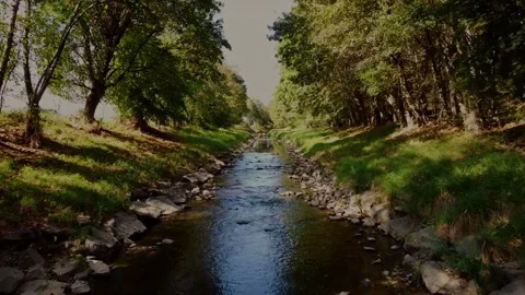 Aerial View Along Mountain River Surrounded By  Forest On Sunny Day Stock Footage 252512418