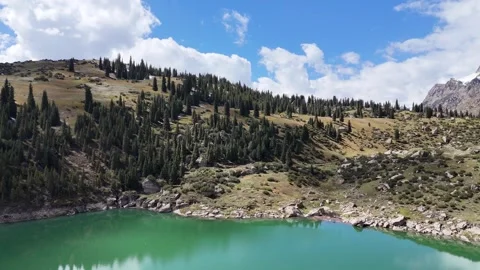 Aerial view of alpine lake, forest and snow mountains in Xinjiang China Stock Footage 337886647