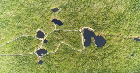 Aerial view of alpine peat bog lakes Lovrenc, Slovenia Stock Footage 324525932