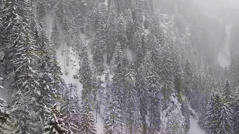 Aerial view of the Alps Stock Footage 107420452