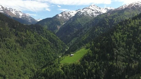 Aerial view of Alps mountain chalets - Charming Chalet and Summer Landscape 스톡 동영상 339565925