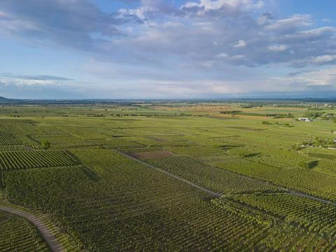 Aerial view of Alsace fields forming a colorful mosaic of cultivated land Stock Photos