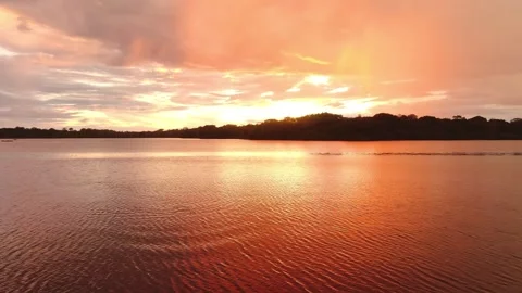 Aerial view of amazing sunset above of Amazon river. Stock Footage 261387341