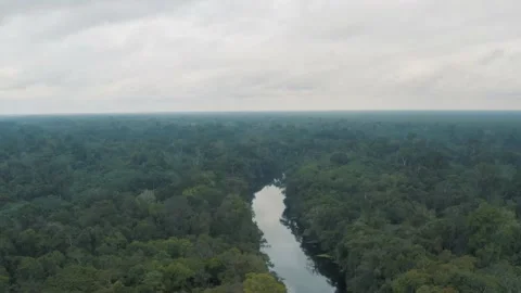 Aerial view of Amazon forest in Amazonia Jungle Peru Stock Footage 197102457