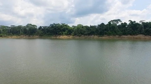 Aerial view of Amazon forest, Colombia. (1) Stock Footage 112585229