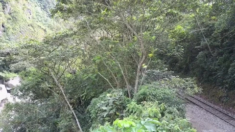Aerial view of the Amazon jungle rainforest. Water flowing through rocks. Stock Footage 76160953