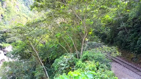 Aerial view of the Amazon jungle rainforest. Water flowing through rocks. Stock Footage 76160979