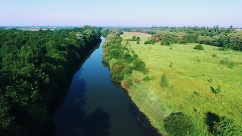 Aerial view of the Amazon rain forest, the largest forest in the world Stock Footage 83705995