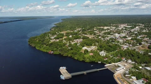 Aerial View of the Amazon Rainforest and Rio Negro, Brazil Stock Footage 338106480