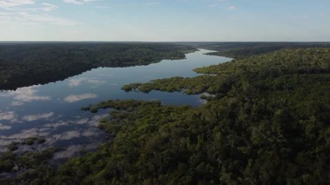 Aerial View of the Amazon Rainforest and Rio Negro, Brazil Stock Footage 338199237