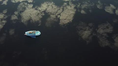 Aerial View of the Amazon Rainforest and Rio Negro, Brazil Stock Footage 338200285