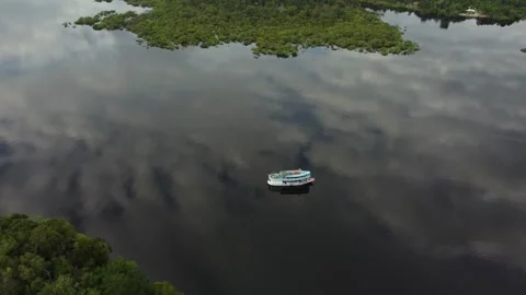Aerial View of the Amazon Rainforest and Rio Negro, Brazil Stock Footage 339638469