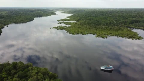 Aerial View of the Amazon Rainforest and Rio Negro, Brazil Stock Footage 339638475