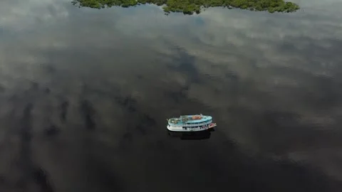 Aerial View of the Amazon Rainforest and Rio Negro, Brazil Stock Footage 339638488