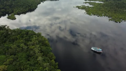 Aerial View of the Amazon Rainforest and Rio Negro, Brazil Stock Footage 339638516