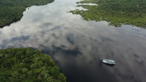 Aerial View of the Amazon Rainforest and Rio Negro, Brazil Stock Footage 339638534