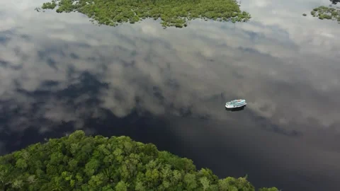 Aerial View of the Amazon Rainforest and Rio Negro, Brazil Stock Footage 339638602