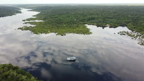 Aerial View of the Amazon Rainforest and Rio Negro, Brazil Stock Footage 339638653