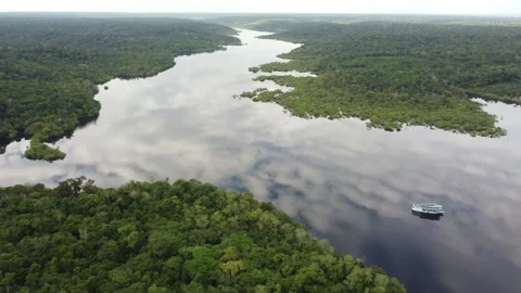 Aerial View of the Amazon Rainforest and Rio Negro, Brazil Stock Footage 339638654